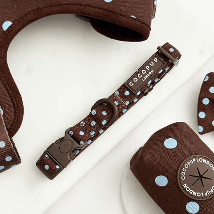 Biscotti Blue COLLAR: S
