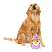 Sirius Quack - Dog Toy: Small