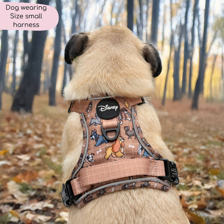 Disney© Tough Trails™ Harness - Disney Dogs: XS