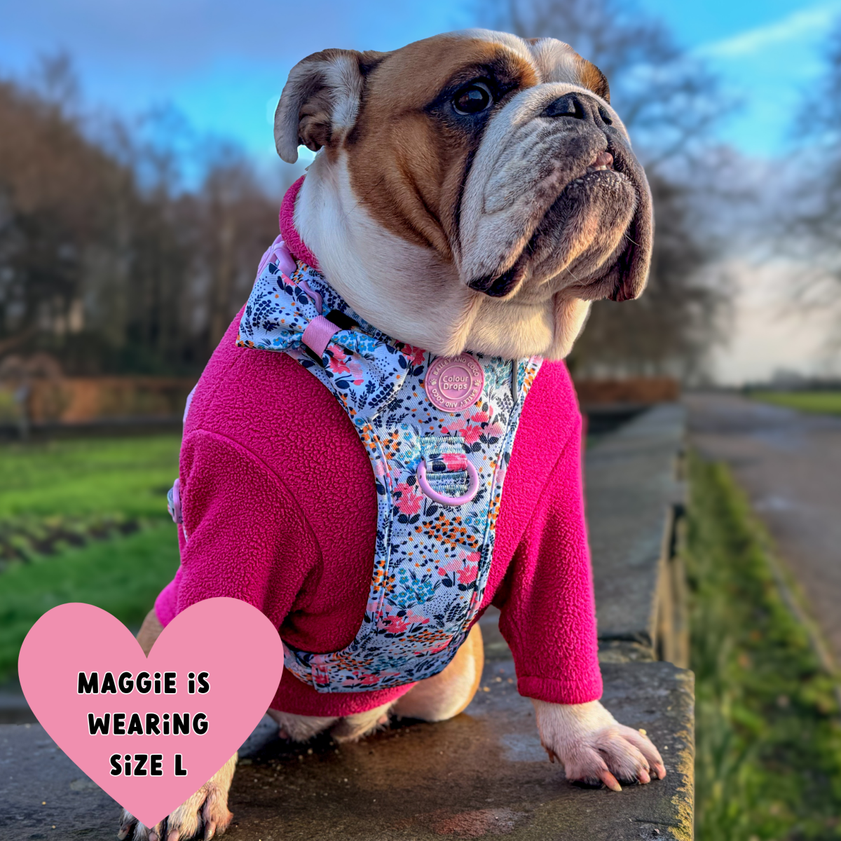 Floral Dog Harness - Colour Drops - Spring Dreams: L
