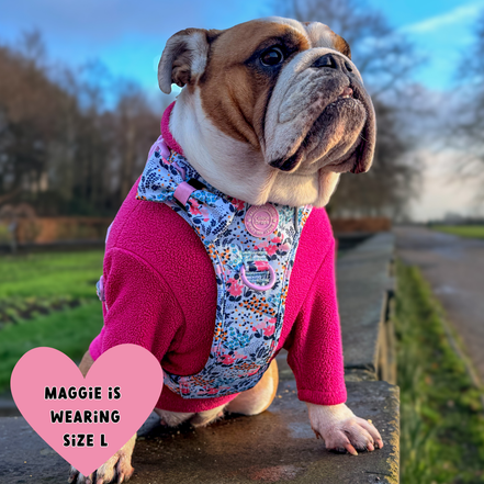 Floral Dog Harness - Colour Drops - Spring Dreams: M
