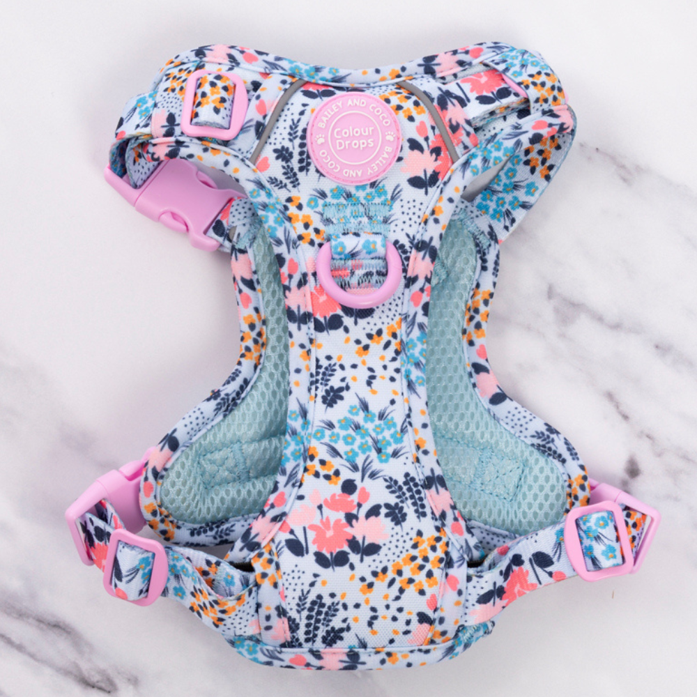 Floral Dog Harness - Colour Drops - Spring Dreams: M