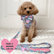 Floral Dog Harness - Colour Drops - Spring Dreams: L