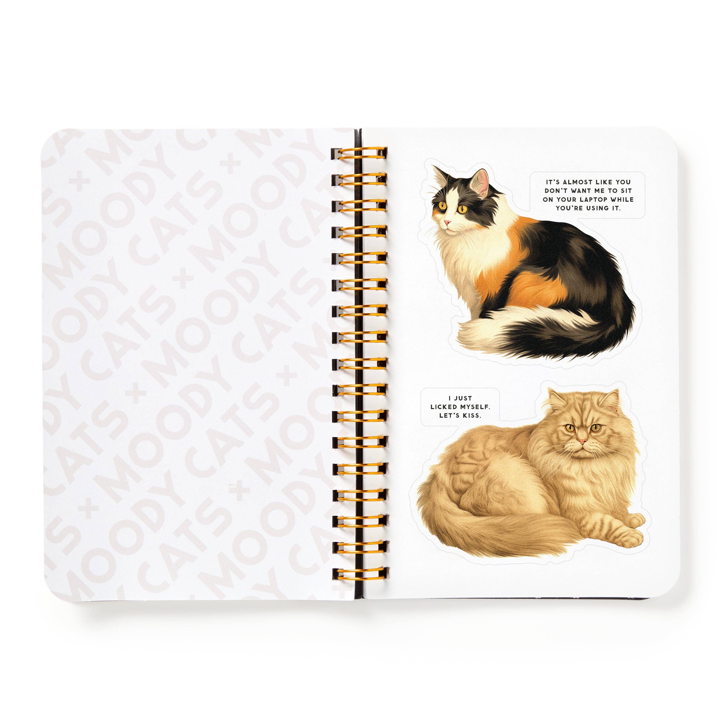 Moody Cats Sticker Book (Sticker Book or Pack)