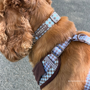 Chelsea Check COLLAR: M