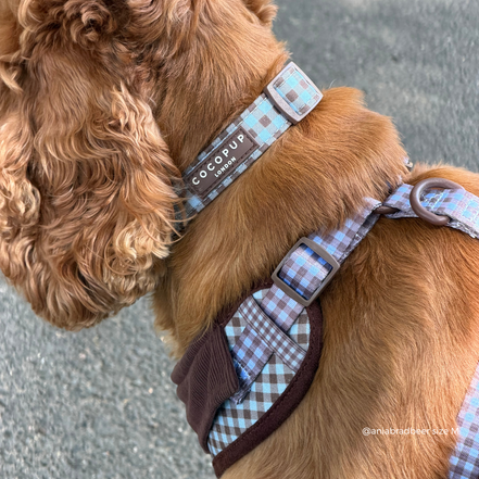 Chelsea Check COLLAR: M