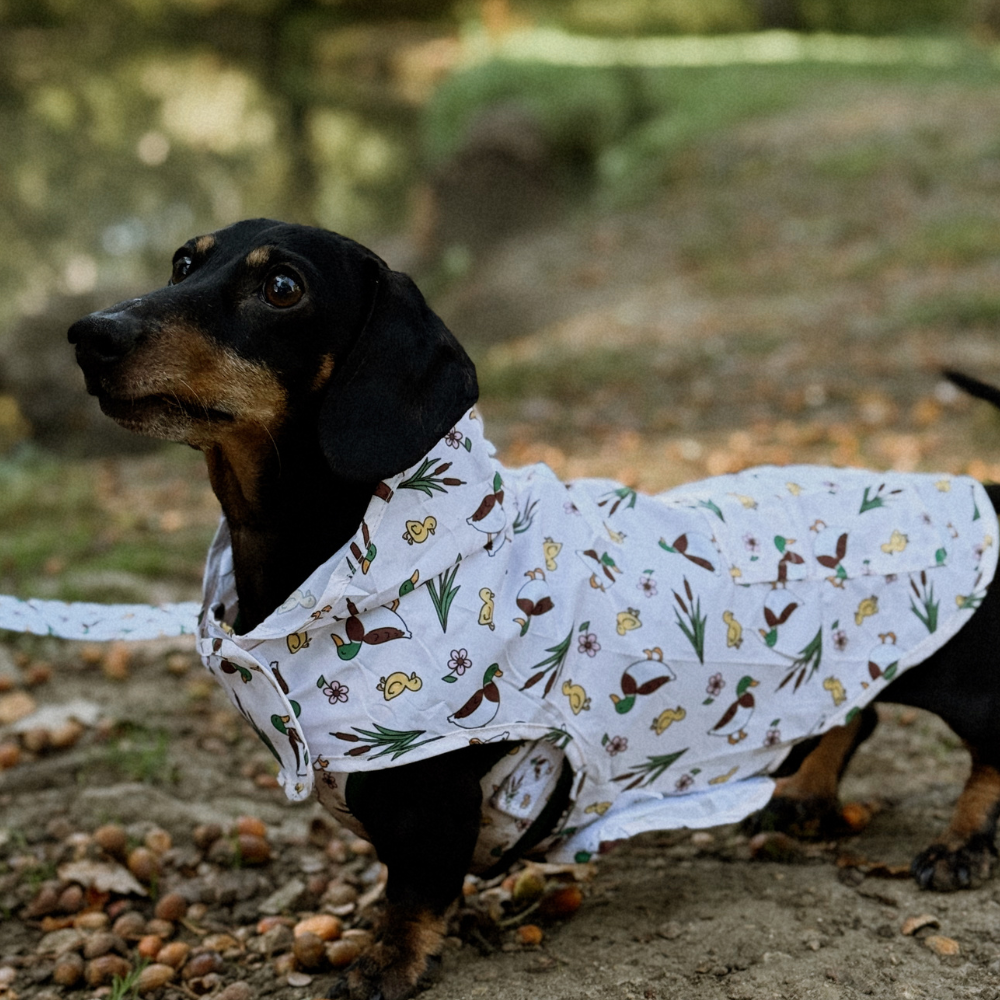 Dog Raincoat - Puddle Pup: XS