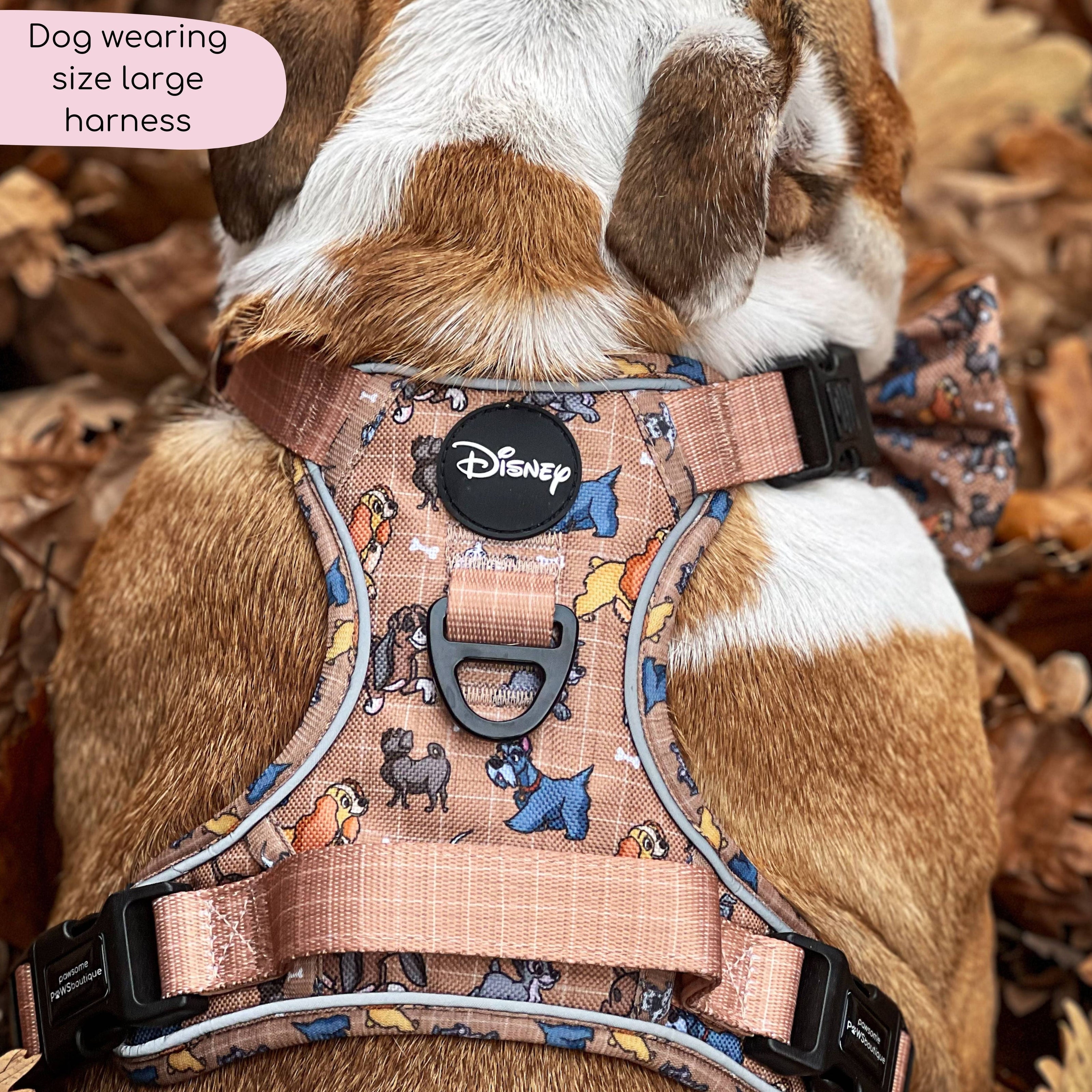 Disney© Tough Trails™ Harness - Disney Dogs: M