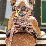 Disney© Bow Tie - Disney Dogs: Regular