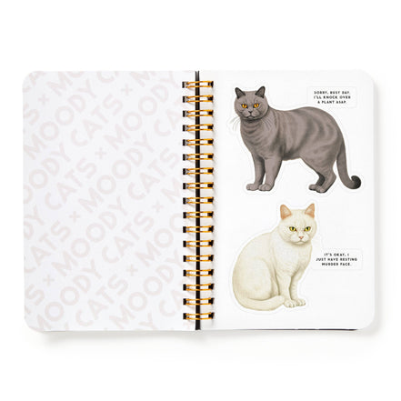 Moody Cats Sticker Book (Sticker Book or Pack)