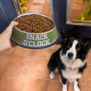 Feeder and Waterer 