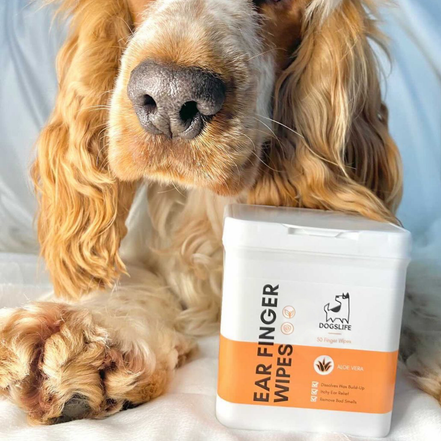 Dog Ear Wipes
