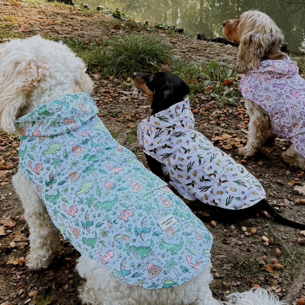 Dog Raincoat - Puddle Pup: M