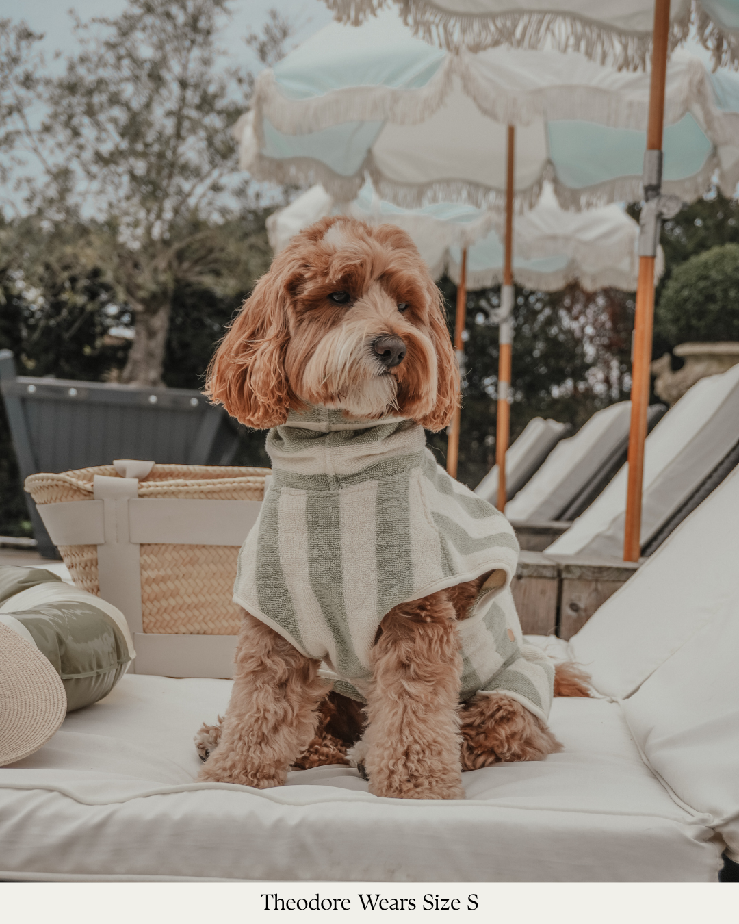 Matcha Stripe | The Cosy Cloak Drying Robe: M