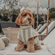 Matcha Stripe | The Cosy Cloak Drying Robe: S