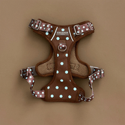 Explore Harness - Biscotti Blue: XS