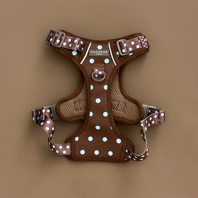 Explore Harness - Biscotti Blue: XS