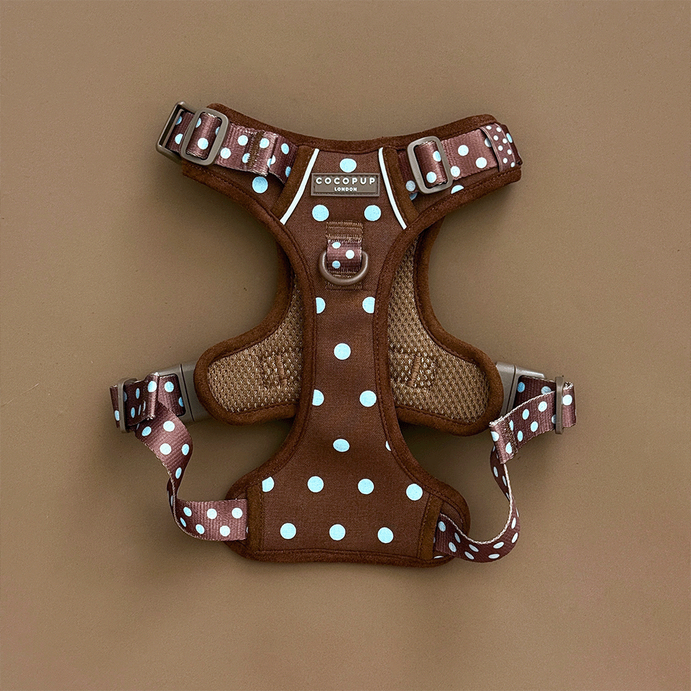 Explore Harness - Biscotti Blue: XL