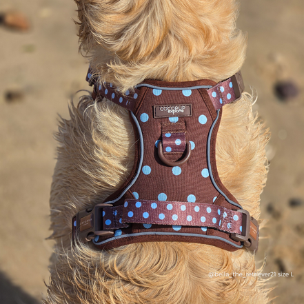 Explore Harness - Biscotti Blue: XL