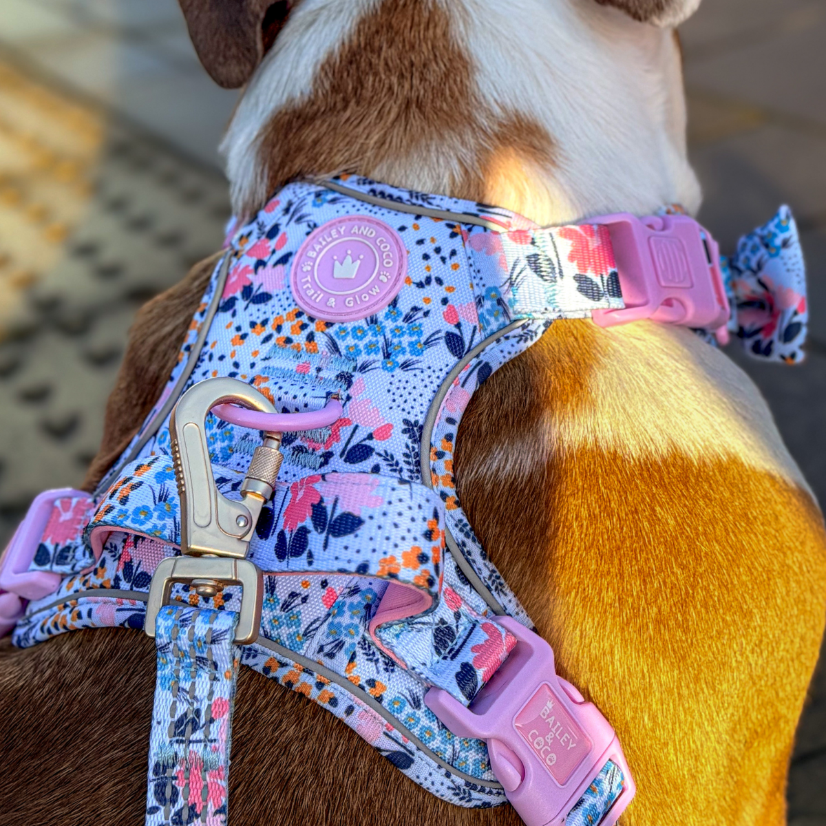 Floral Dog Harness - Colour Drops - Spring Dreams: M