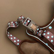 Explore Harness - Biscotti Blue: XS