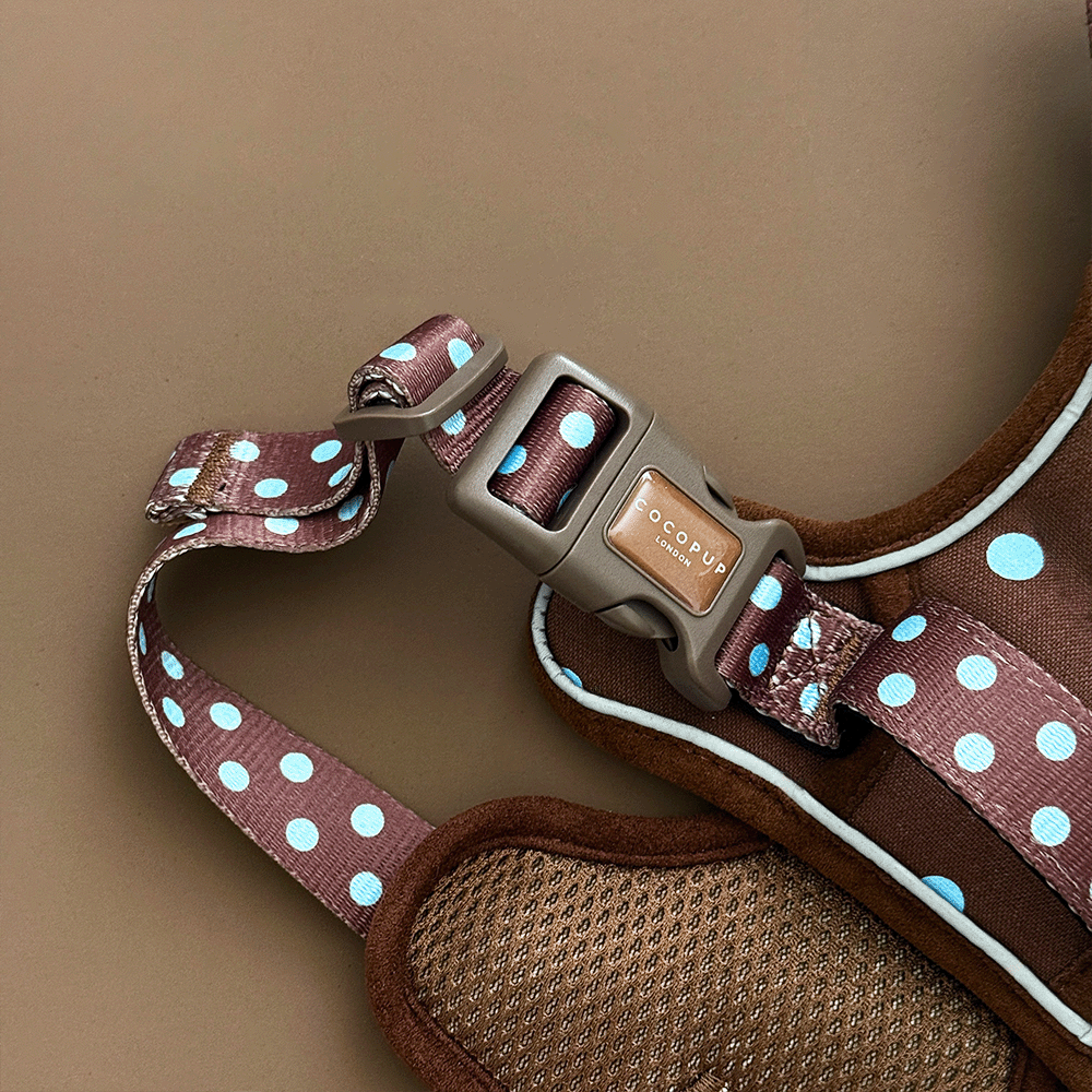 Explore Harness - Biscotti Blue: XS