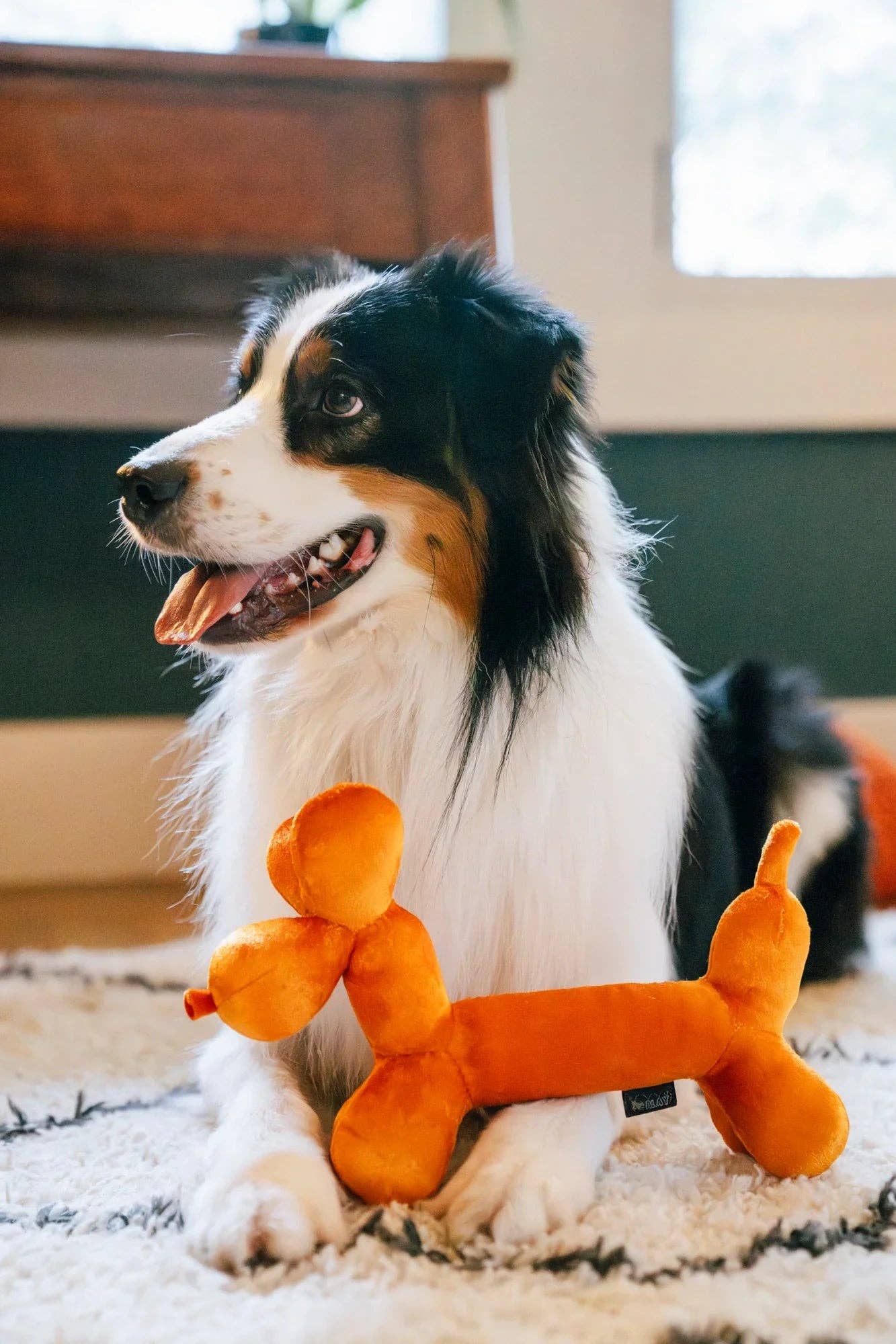 Party Animal - Balloon Dog Buddy