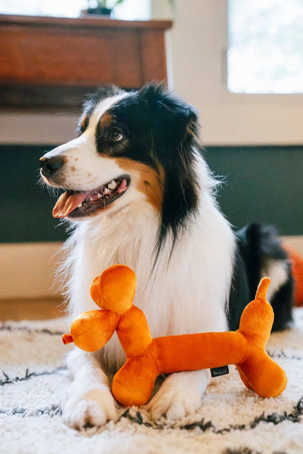 Party Animal - Balloon Dog Buddy