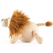 Big Five of Africa - Lion