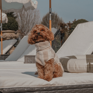 Hazelnut Stripe | The Cosy Cloak Drying Robe: XXS