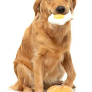 Dog's Breakfast 3PK - Dog Toy