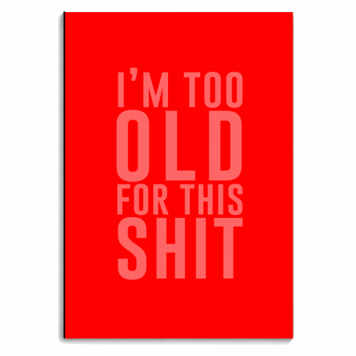 Notebooks 'I'm Too Old For This Shit'