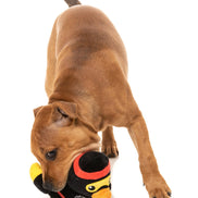 Quackie Chan - Dog Toy