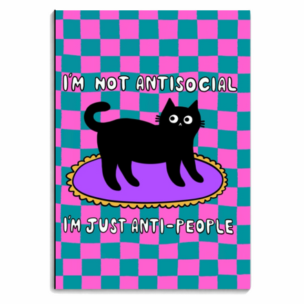 Notebooks 'Antisocial Cat' by The Paper Tail