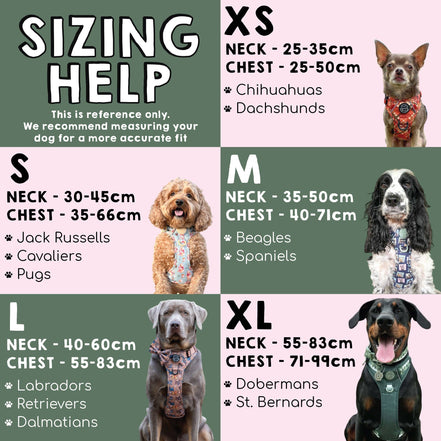 Disney© Tough Trails™ Harness - Disney Dogs: M