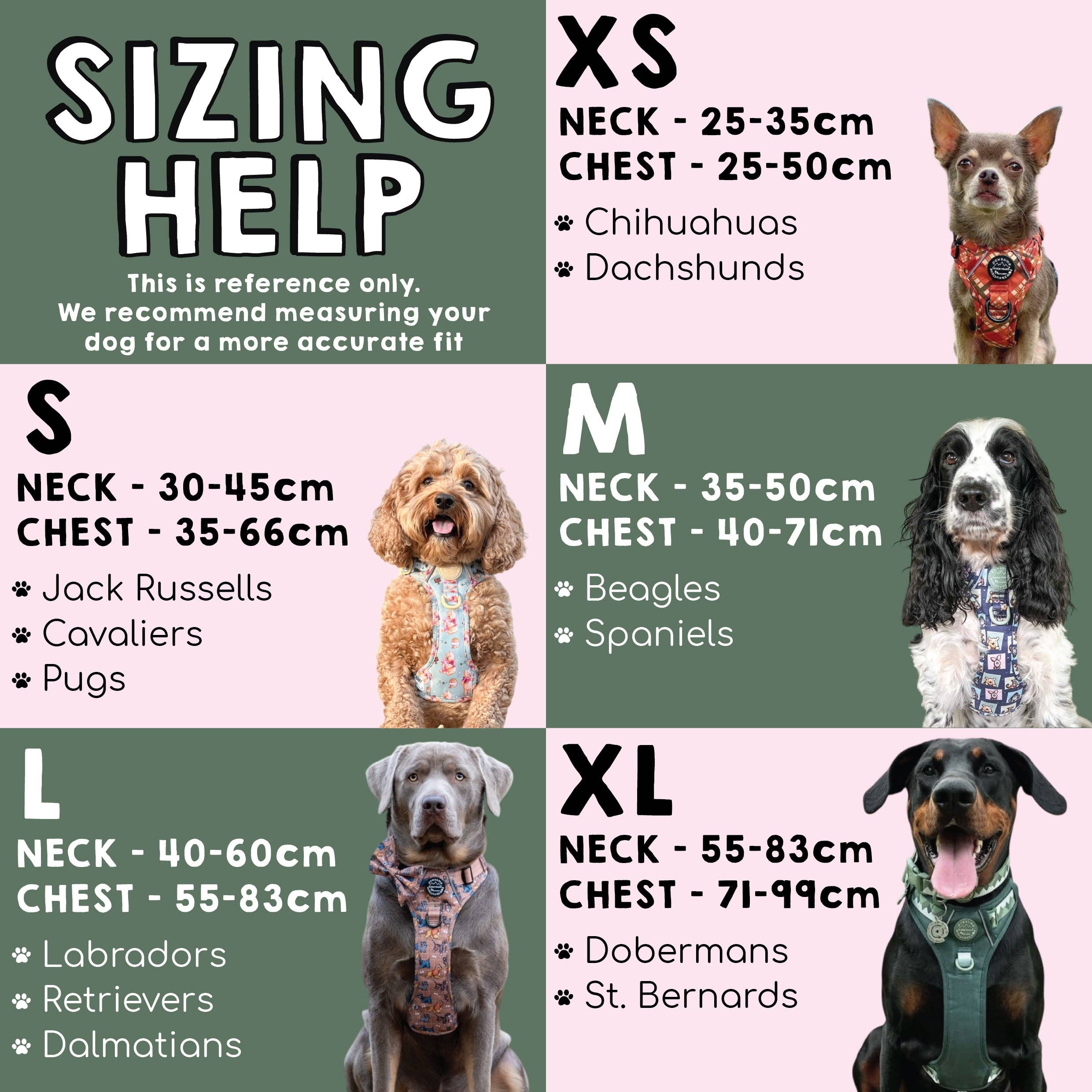 Disney© Tough Trails™ Harness - Disney Dogs: XS