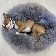 Grey Sheepskin Pet Bed: 40cm