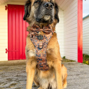 Disney© Bow Tie - Disney Dogs: Regular
