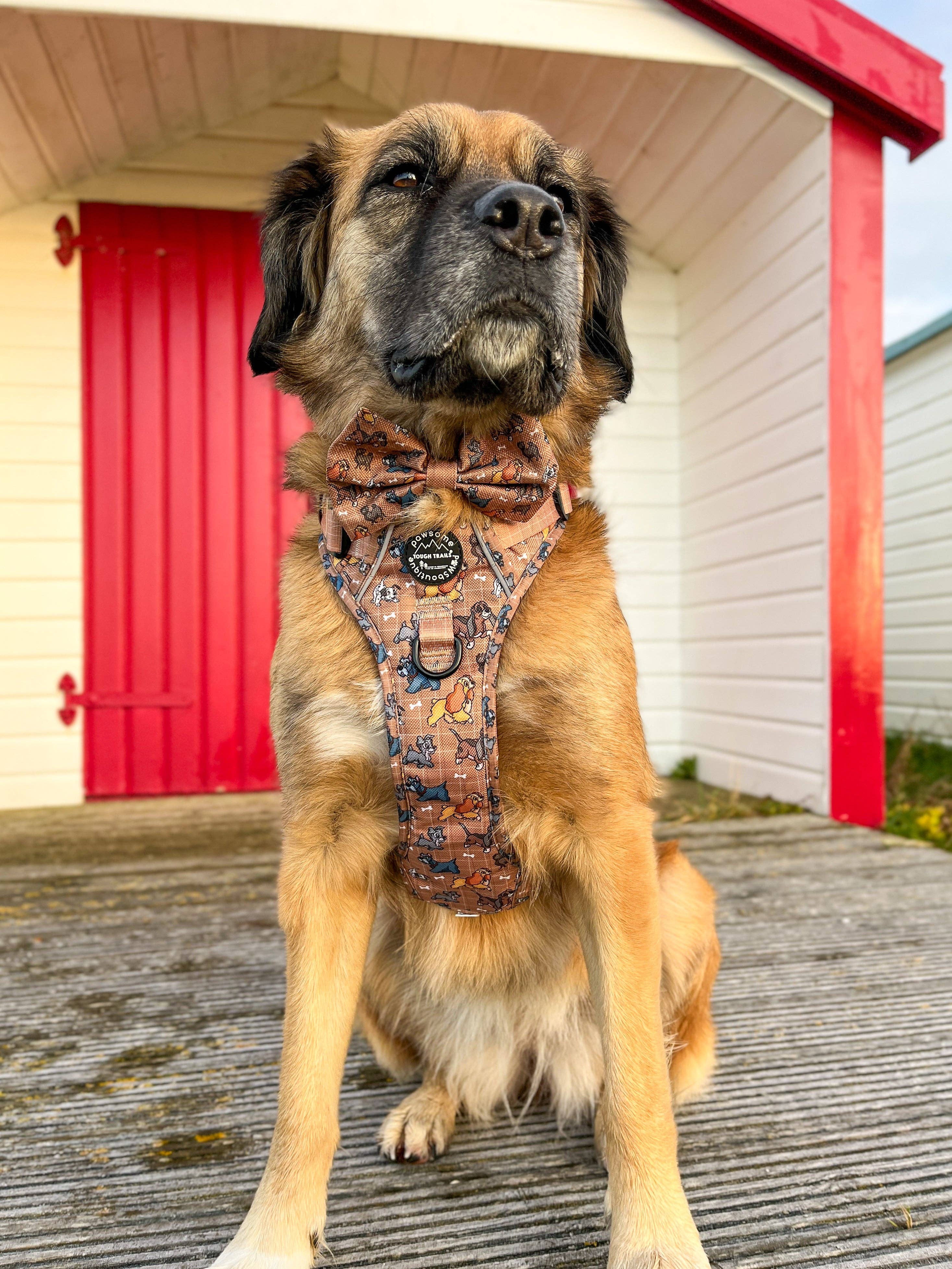 Disney© Bow Tie - Disney Dogs: Regular
