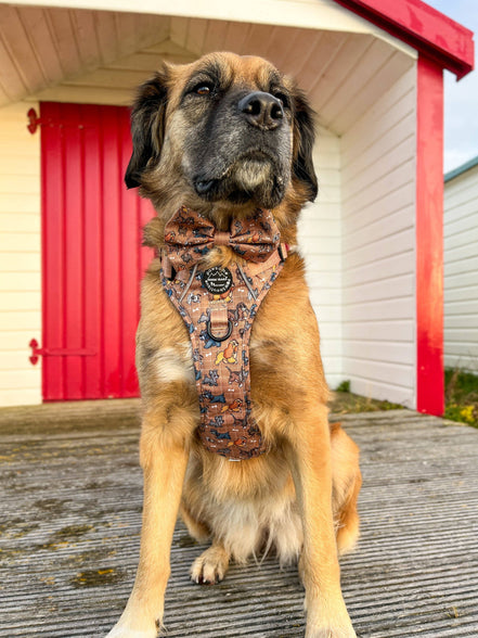 Disney© Bow Tie - Disney Dogs: Regular