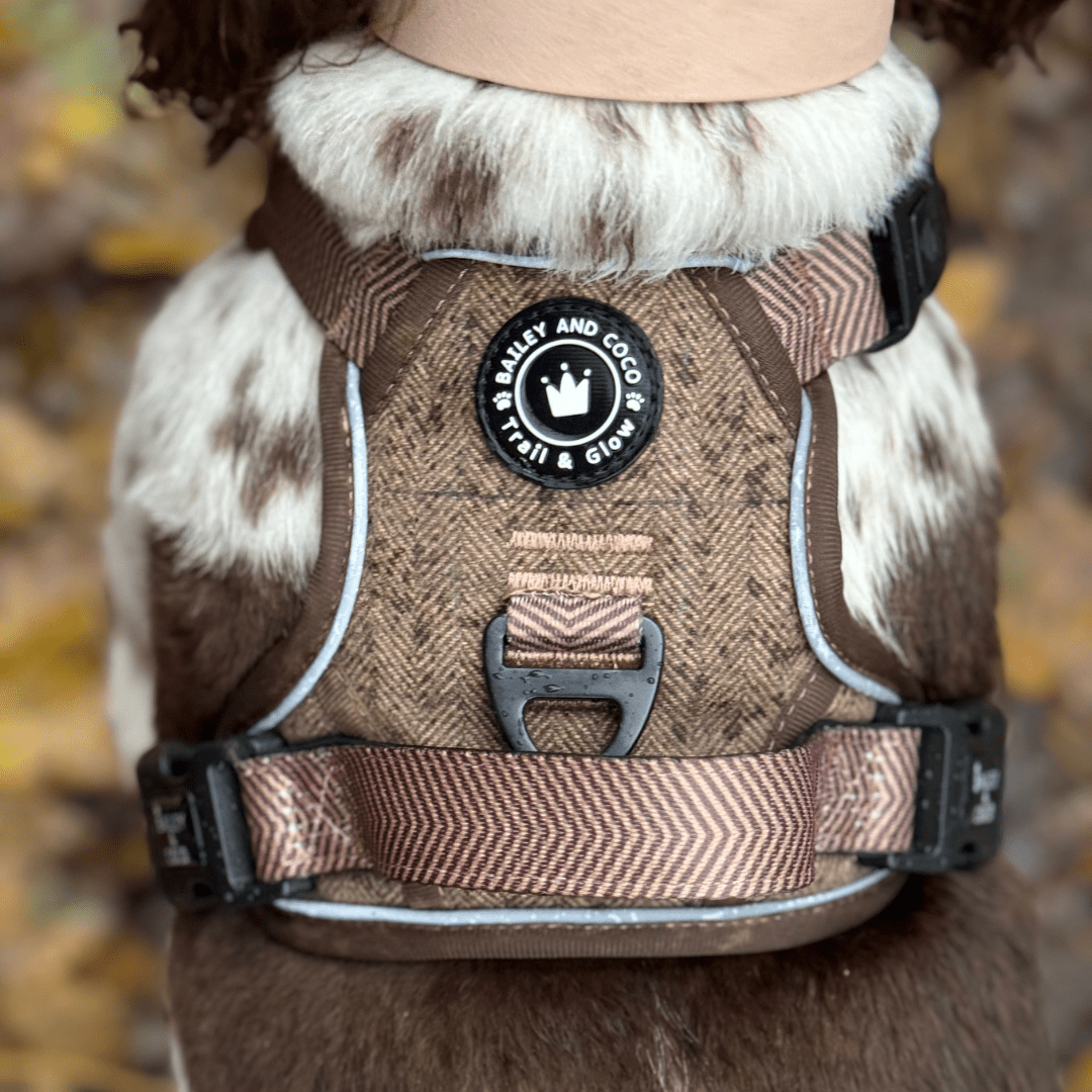Trail & Glow Tweed Dog Harness - Oxford Tweed: M