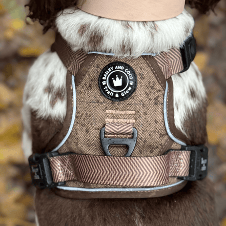 Trail & Glow Tweed Dog Harness - Oxford Tweed: XS