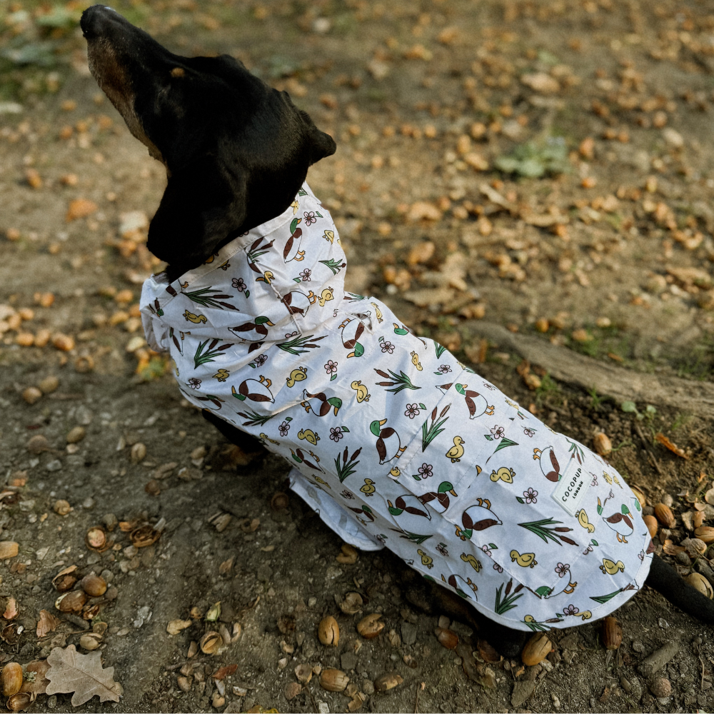 Dog Raincoat - Puddle Pup: M