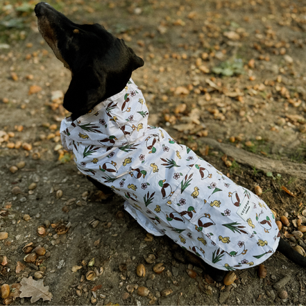Dog Raincoat - Puddle Pup: M