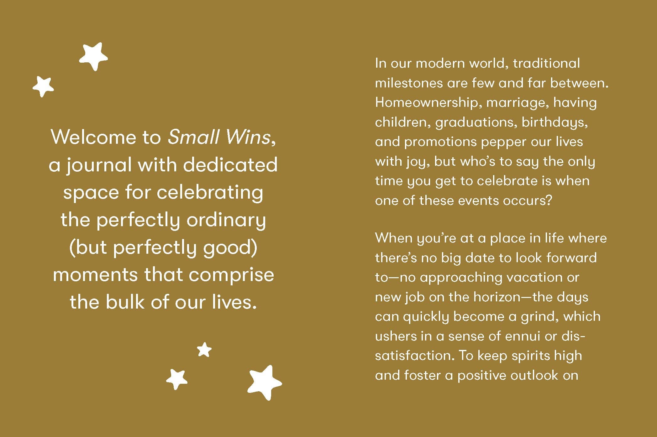 Small Wins - A Journal to Celebrate Your Mini Milestones (Diary or Journal)