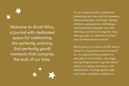 Small Wins - A Journal to Celebrate Your Mini Milestones (Diary or Journal)