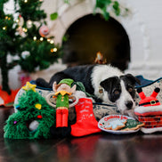 Merry Woofmas Santa's Littler Elf-er