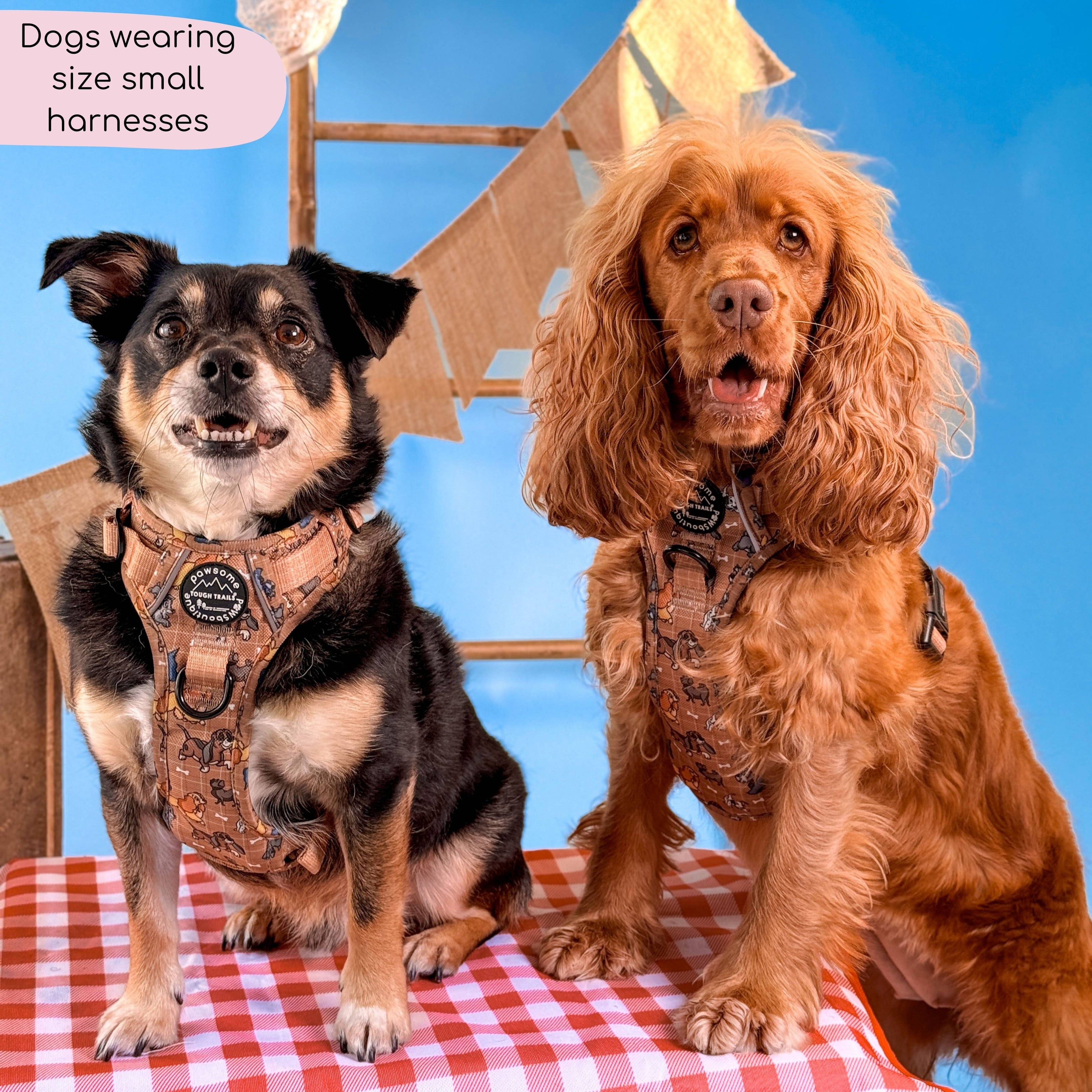 Disney© Tough Trails™ Harness - Disney Dogs: M