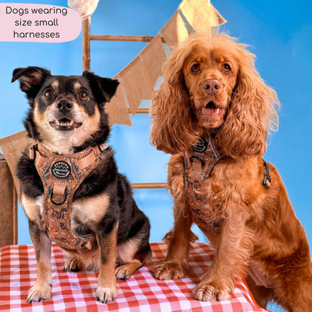 Disney© Tough Trails™ Harness - Disney Dogs: XS