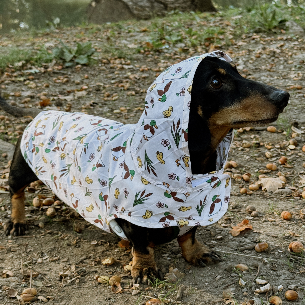 Dog Raincoat - Puddle Pup: M